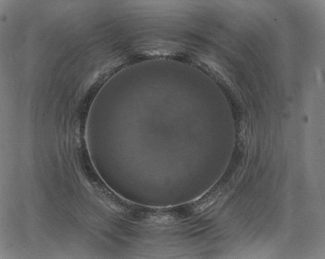 X0000063460547200601201248