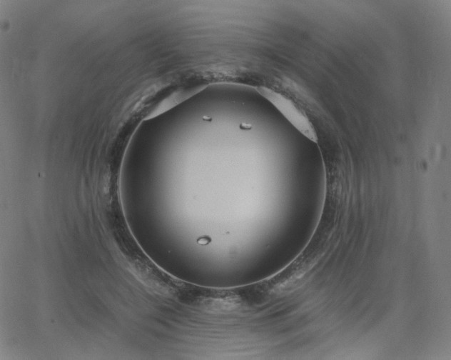 X0000063460548200601201248