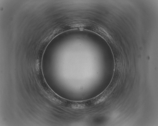 X0000063460549200601201248