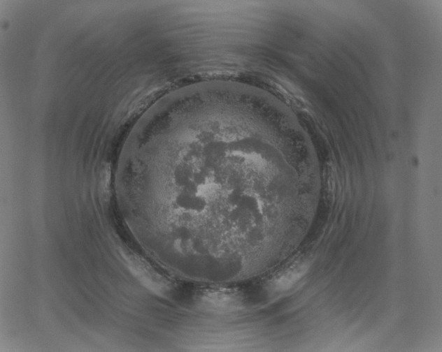 X0000063460550200601201248