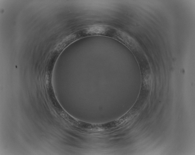 X0000063460551200601201248