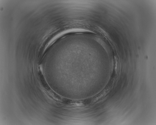 X0000063460552200601201248