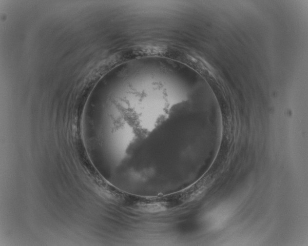 X0000063460553200601201248