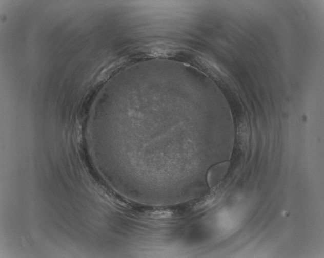 X0000063460554200601201248