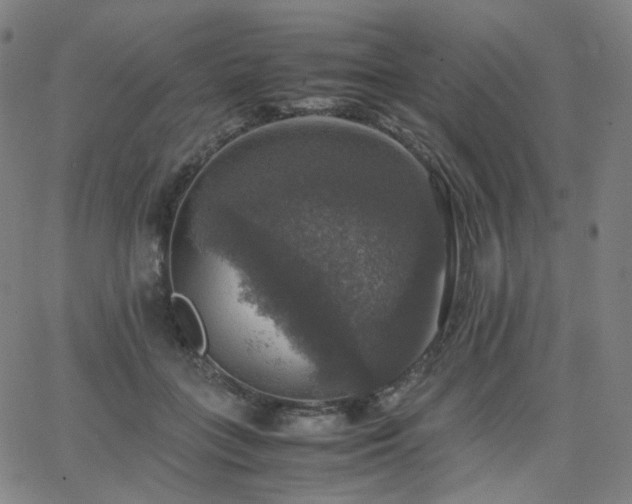 X0000063460555200601201248