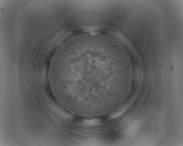 X0000063460557200601201248