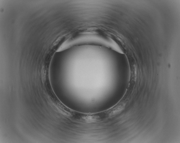 X0000063460558200601201248