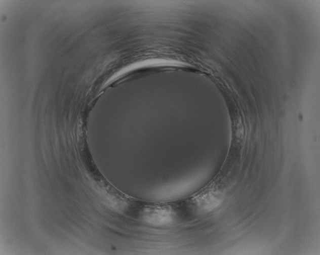 X0000063460559200601201248