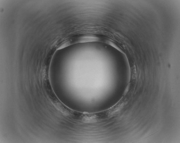 X0000063460560200601201248