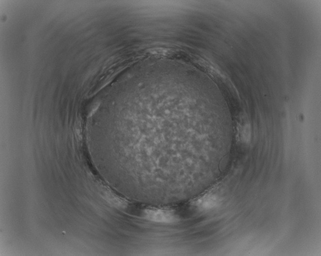 X0000063460561200601201248