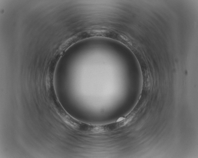 X0000063460562200601201248