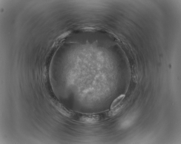 X0000063460563200601201248