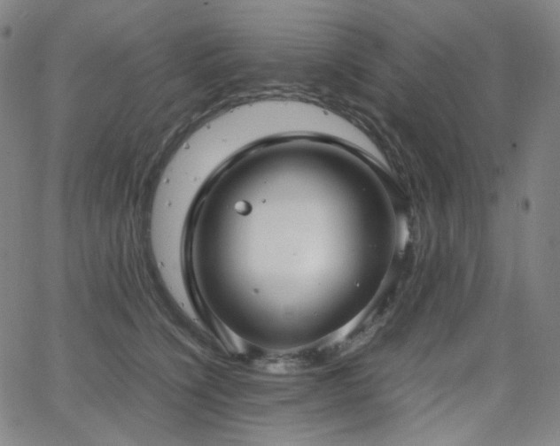 X0000063460564200601201248