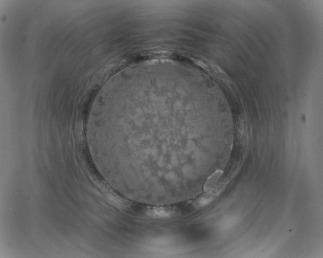 X0000063460565200601201249