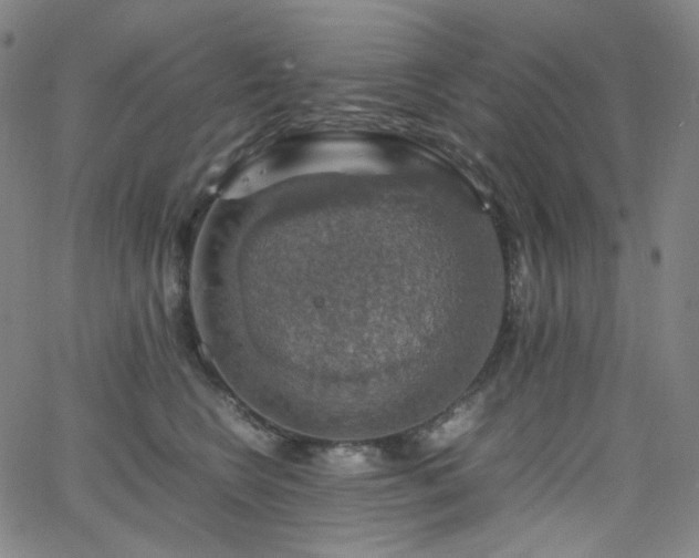 X0000063460566200601201249