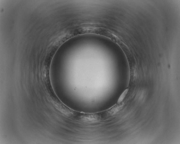 X0000063460567200601201249