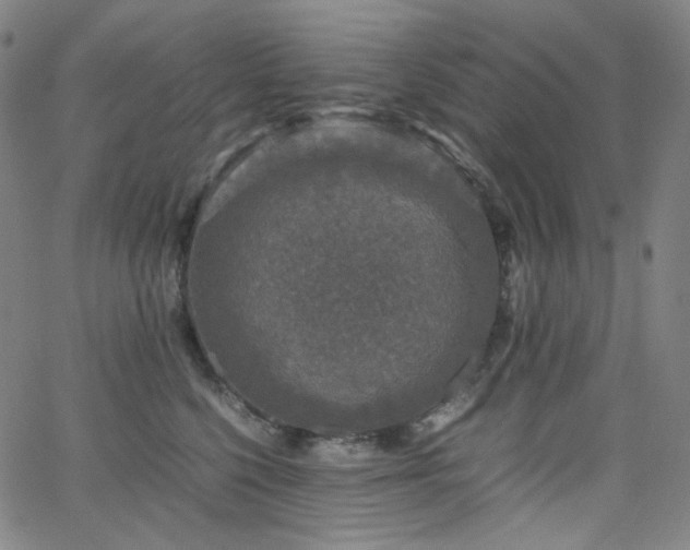 X0000063460568200601201249