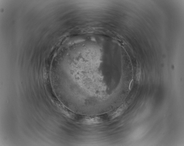 X0000063460569200601201249