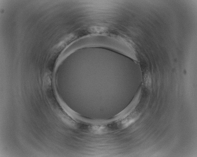 X0000063460570200601201249