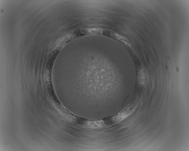 X0000063460571200601201249