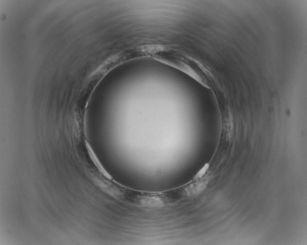 X0000063460572200601201249