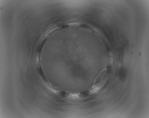 X0000063460573200601201249