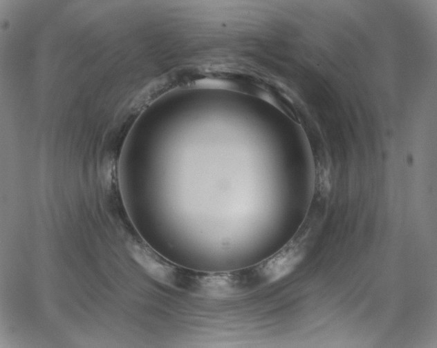 X0000063460574200601201249