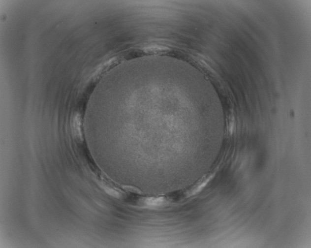 X0000063460575200601201249