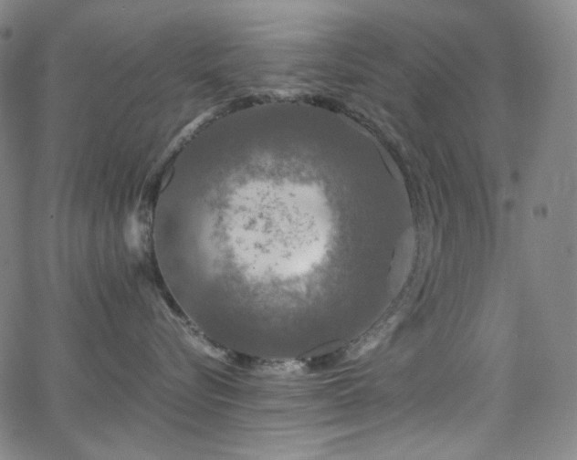 X0000063460576200601201249