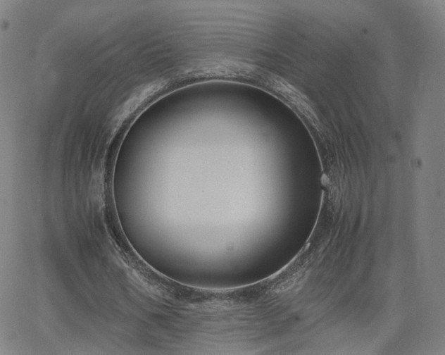 X0000063460578200601201248