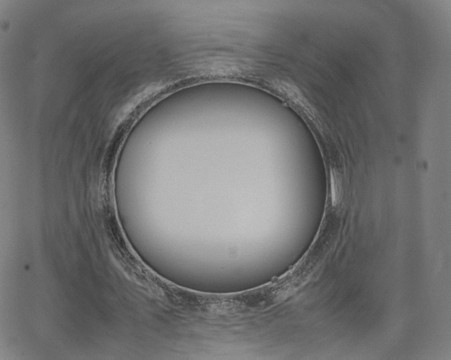 X0000063460579200601201248