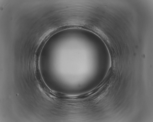 X0000063460580200601201248