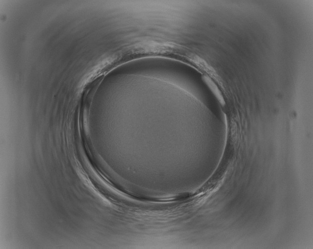 X0000063460581200601201248