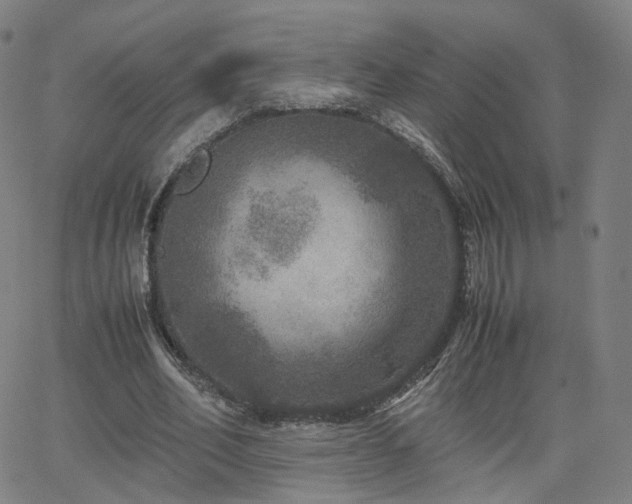 X0000063460582200601201248