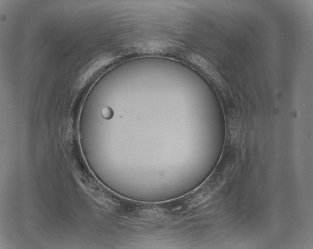 X0000063460583200601201248