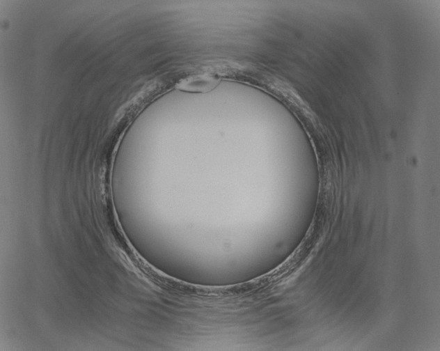 X0000063460585200601201248