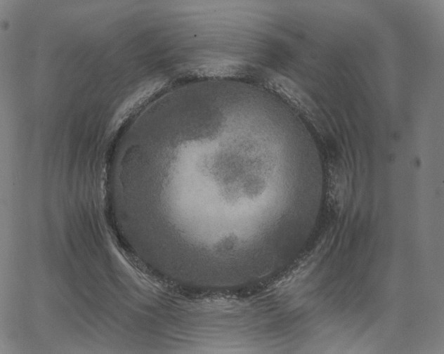 X0000063460586200601201248