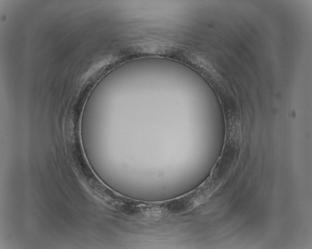 X0000063460587200601201248