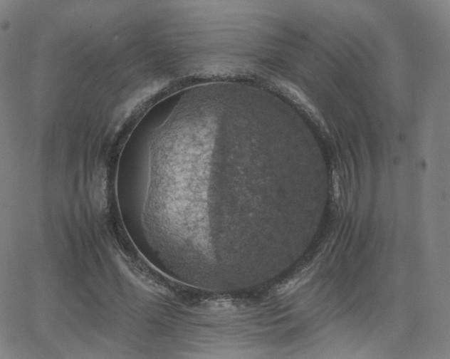 X0000063460588200601201248