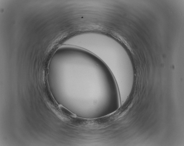 X0000063460589200601201248