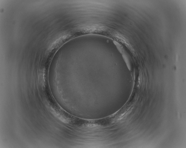 X0000063460590200601201248