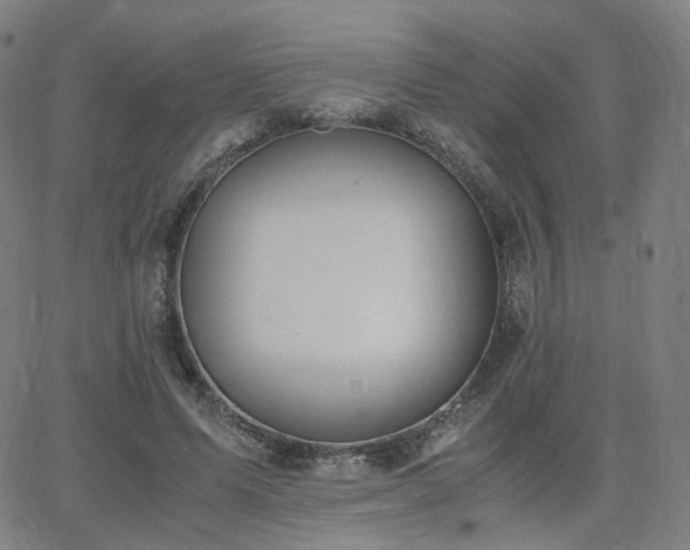 X0000063460591200601201248