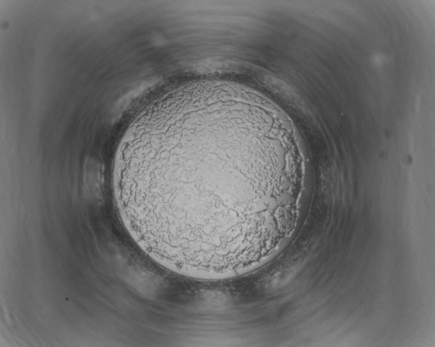 X0000063460592200601201248