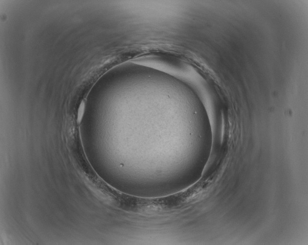 X0000063460593200601201248