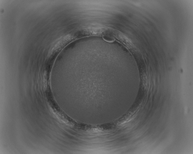 X0000063460594200601201248