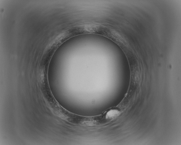 X0000063460595200601201248