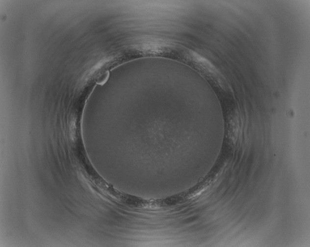 X0000063460596200601201248