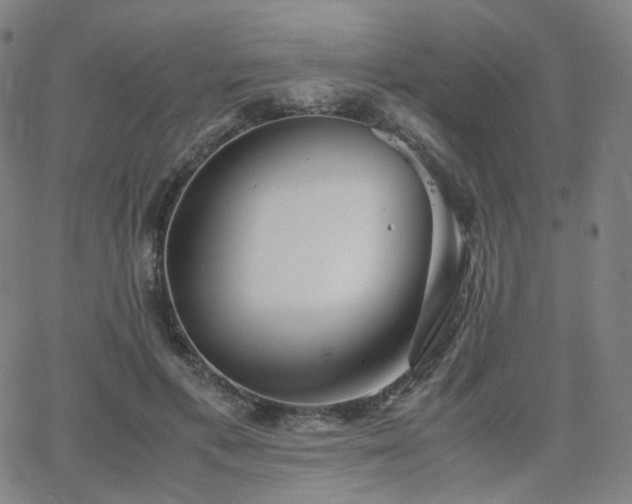 X0000063460597200601201248