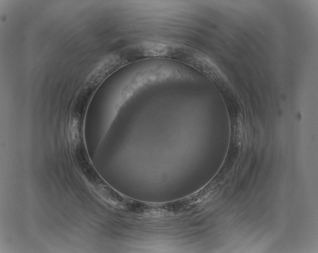 X0000063460598200601201248