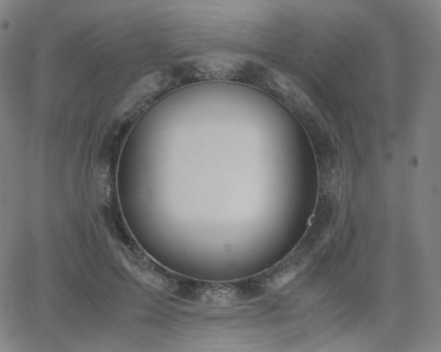 X0000063460599200601201248